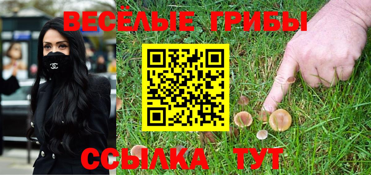 Дивногорск  Псилоцибиновые грибы Psilocybe  Вход с VPN  Галлюциногенные грибы GOLDEN TEACHER 
